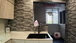 Carissa Park Condominium (D17), Condominium #617470941
